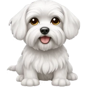 Maltese  sticker