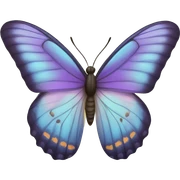 Butterfly  sticker