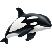 orca sticker