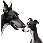 Two aristocrat dog black and white galgo kiss  sticker