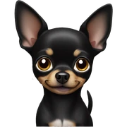 Black chihuahua sticker
