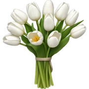 white tulip bouquet  sticker