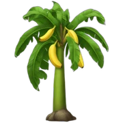 Banana tree sticker