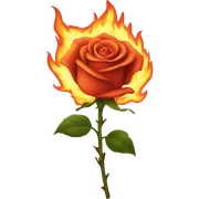 A rose on fire sticker
