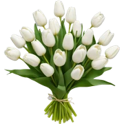 13 white tulips bouquet sticker