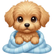 Cute Maltipoo puppy in a blanket sticker