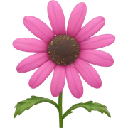 pink daisy sticker