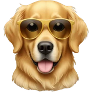 Golden retriever wearing sunglasses sticker