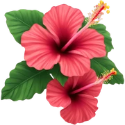 hibiscus  sticker