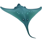 stingray sticker