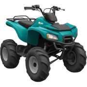 Quad sticker