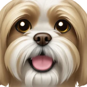 Happy brown blonde shih tzu  sticker