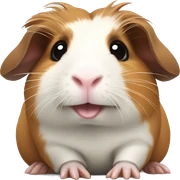 Cutie guinea pig sticker