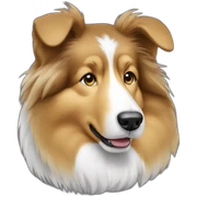 female sable rough collie sticker