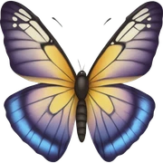 Butterfly  sticker