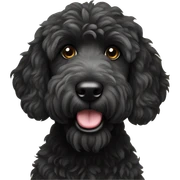 black goldendoodle  sticker