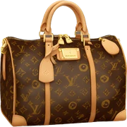 Louis Vuitton bag sticker