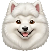 Face of a Samoyed dog, smiling  sticker
