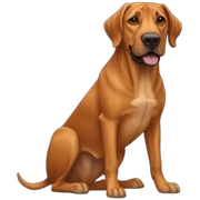 Dog Canine Rhodesian Rigdeback Full-height sticker