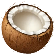 Coconut  sticker