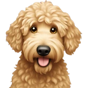 Golden doodle  sticker