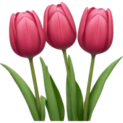 Tulips sticker