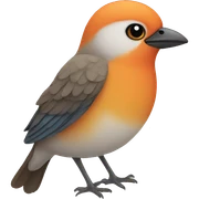 bird sticker