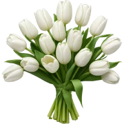 white tulip bouquet  sticker