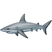 Hawaiian reef shark sticker