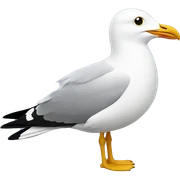 Seagull sticker