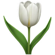 White tulips sticker