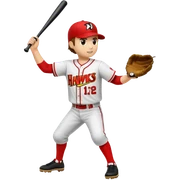 Hawks baseball  sticker