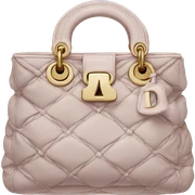 Dior bag sticker