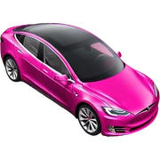 Pink tesla  sticker