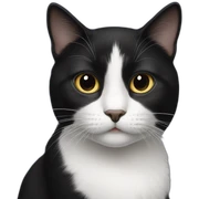 black and white cat sticker