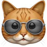 Cat with sunglasses sticker