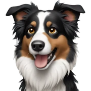 Border collie  sticker