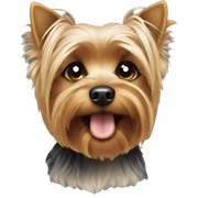 Yorkie sticker