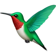 Hummingbird sticker