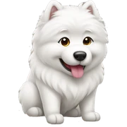 Samoyed sticker