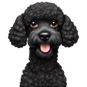 black-poodle sticker