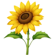 Sunflower sticker