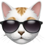 Cat with sunglasses sticker