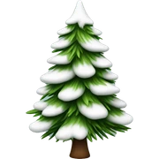  actual white fir christmas tree isolated.  sticker