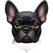 black french bull sticker