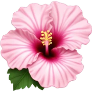 light pink hibiscus flower sticker