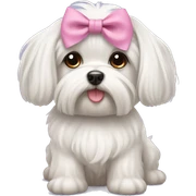 Cute dog Maltese with bows sticker