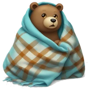 bear cozy in blanket sticker
