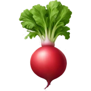 Radish sticker