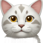 cat  sticker
